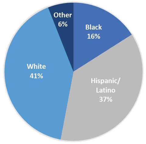 Scholar Ethnicity Pie Stats