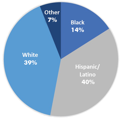 Oct 2024 Ethnicity Pie Chart