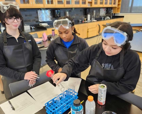 Science Experiment | The Lincoln Academy