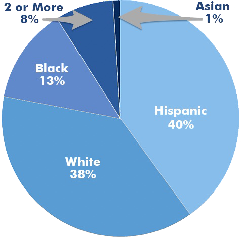 Ethnicity Pie Chart 2025